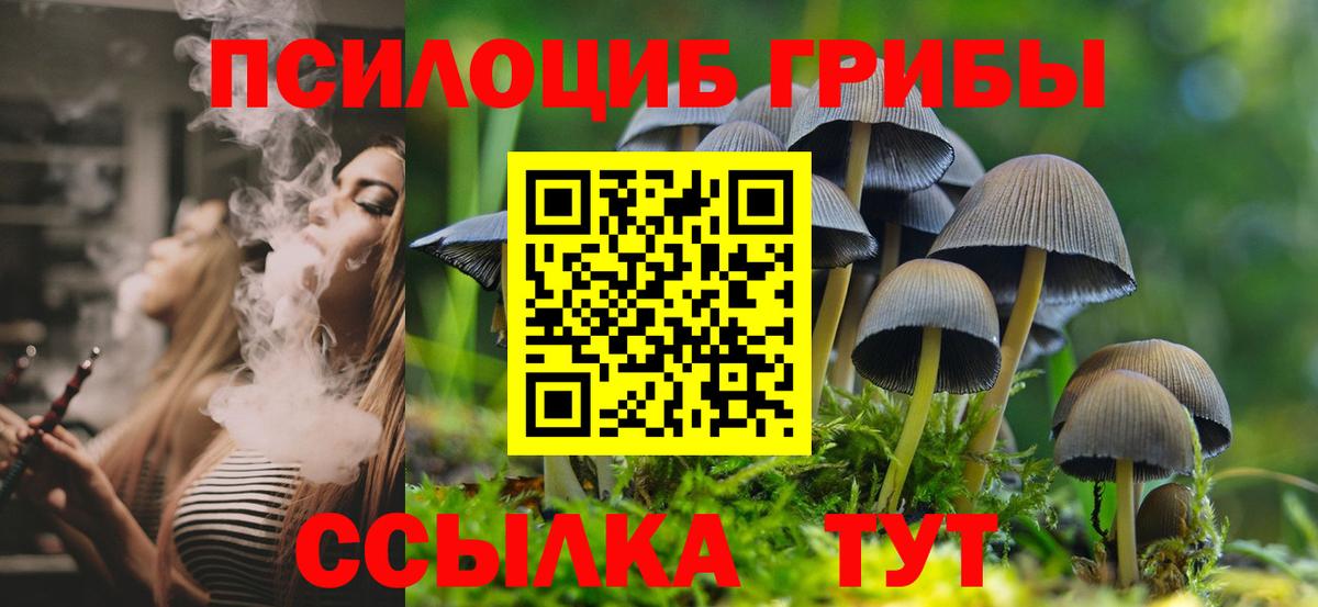 Псилоцибиновые грибы Cubensis  Вход с VPN  Еманжелинск  Псилоцибиновые грибы мицелий 