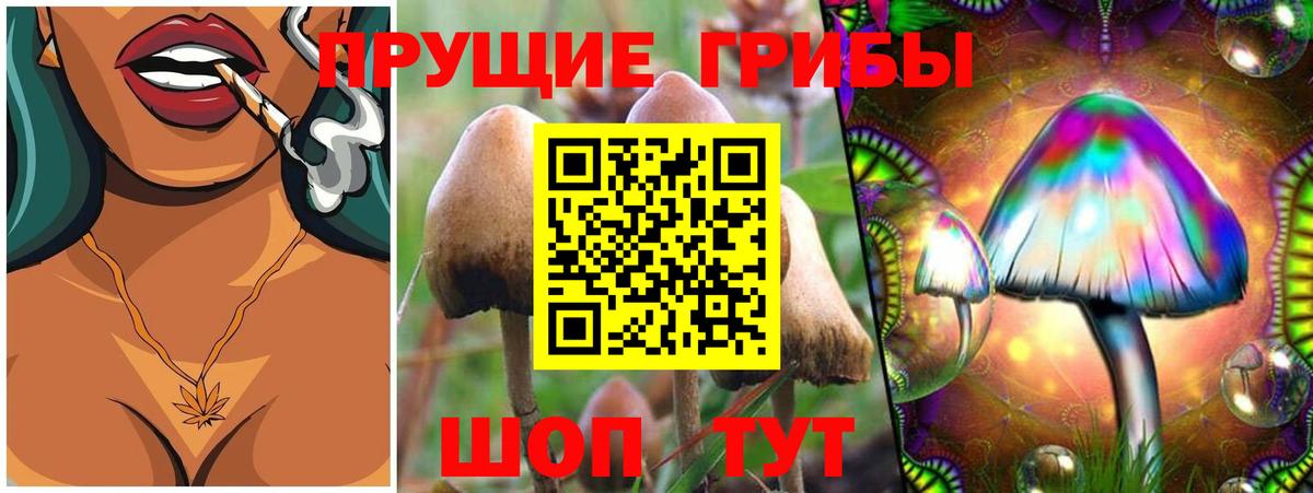 Псилоцибиновые грибы MAGIC MUSHROOMS Еманжелинск